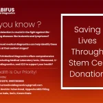 Bone Marrow Stem Cell